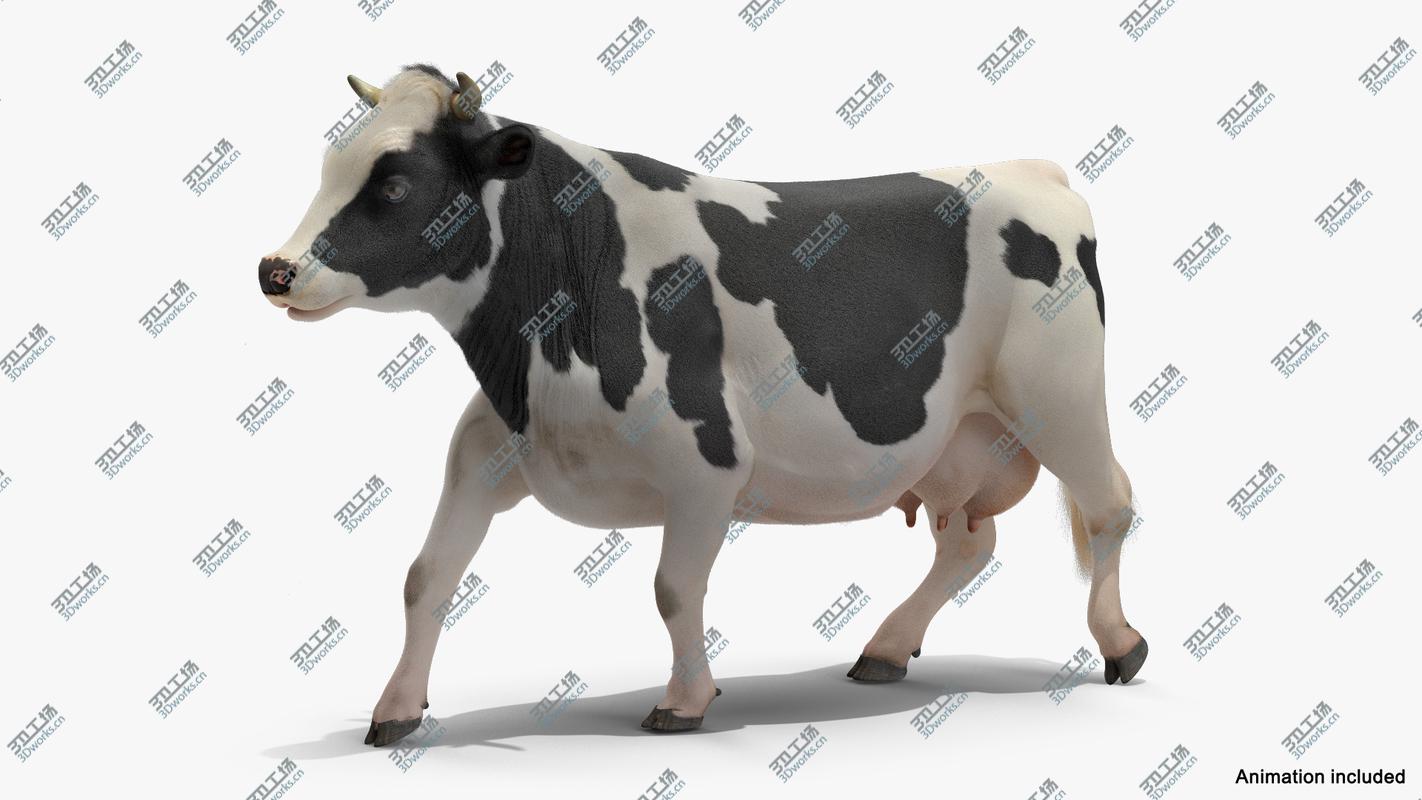 images/goods_img/2021040234/3D Animated Cow Collection model/2.jpg
